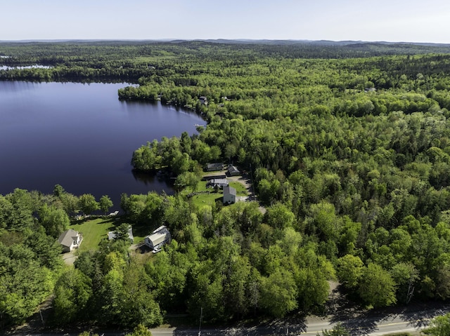 1824 Sunny Cove Ln, Meddybemps, ME 04657 - drone / aerial view of a heavily wooded area and a nearby body of water