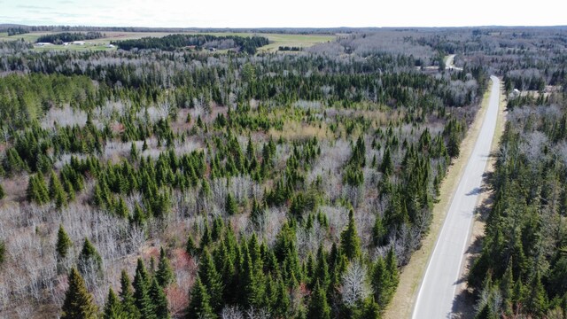 LOT104 Beaulieu Rd, Connor Twp, ME 04736