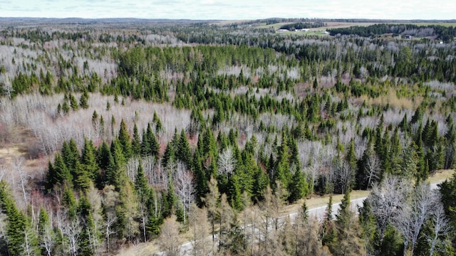LOT104 Beaulieu Rd, Connor Twp, ME 04736