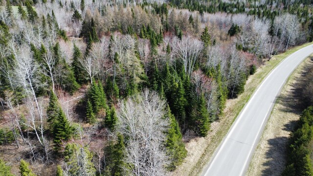 LOT104 Beaulieu Rd, Connor Twp, ME 04736