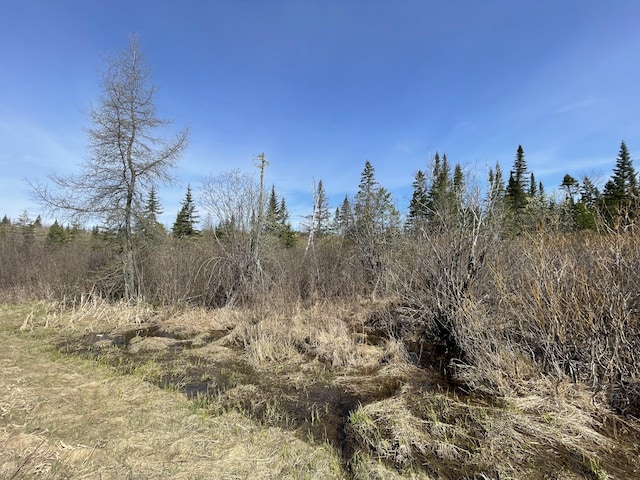 LOT104 Beaulieu Rd, Connor Twp, ME 04736