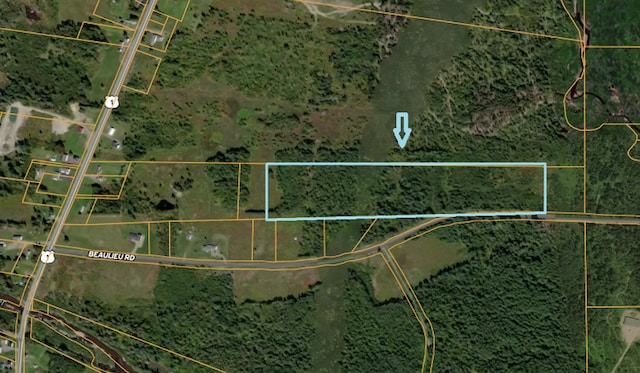 LOT104 Beaulieu Rd, Connor Twp, ME 04736