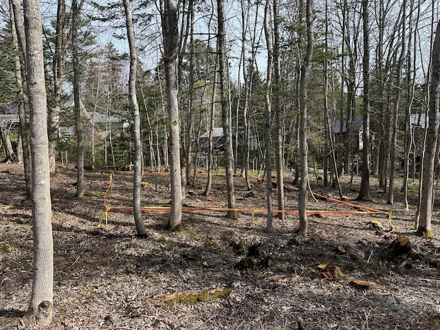72 Seal Cove Rd, Southwest Harbor, ME 04679 - view of nature