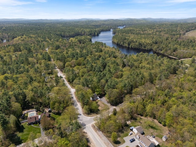 212 New Dam Rd, Waterboro, ME 04061 - view of property location with a heavily wooded area and a nearby body of water