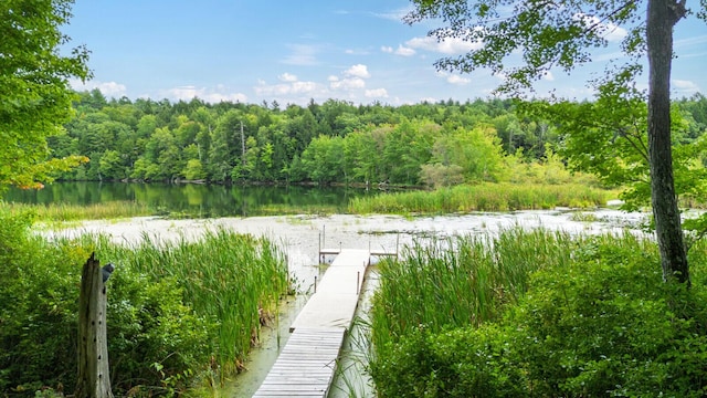 111 Clark Rd, China, ME 04358 - photo 17