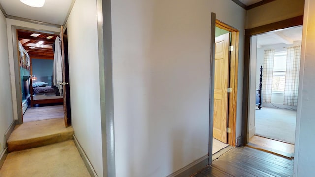 19 Russell St, Bangor, ME 04401 - hallway with light wood-type flooring and baseboards