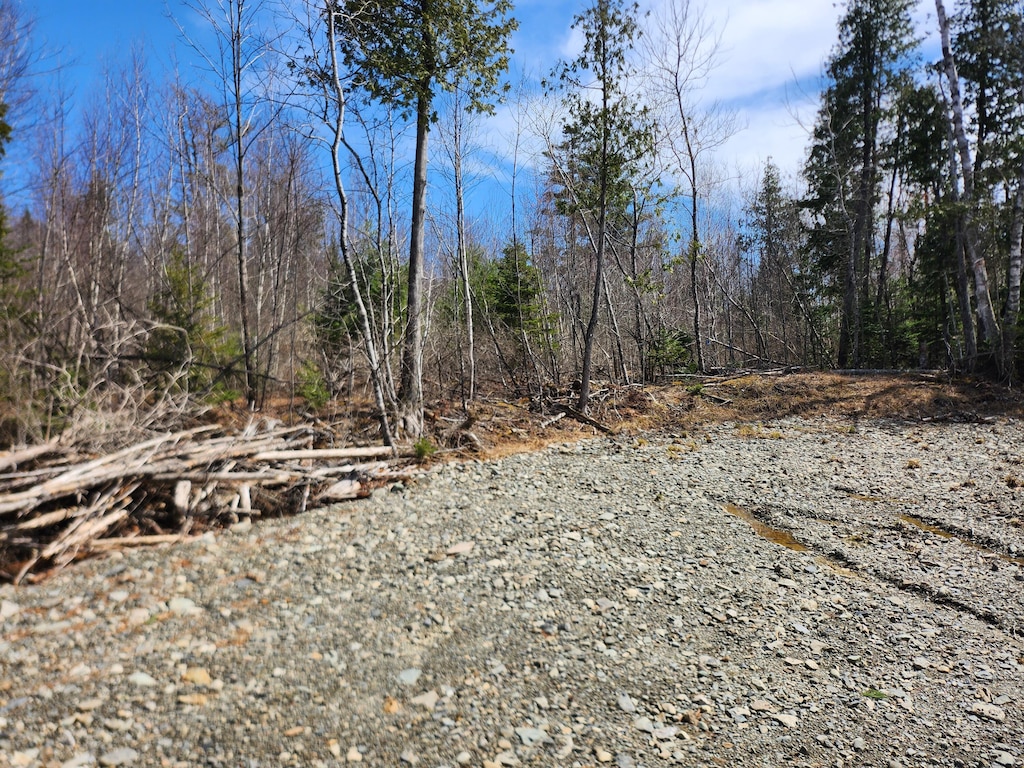 LOT29 Mitchell Rd, Dixmont, ME 04932