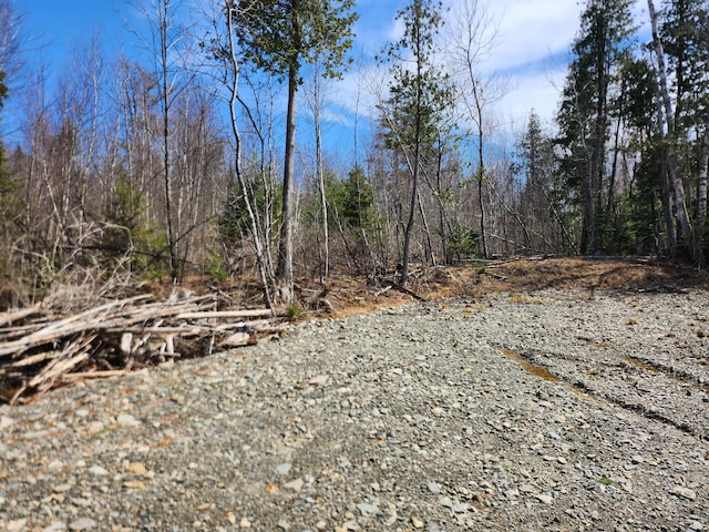 LOT29 Mitchell Rd, Dixmont, ME 04932