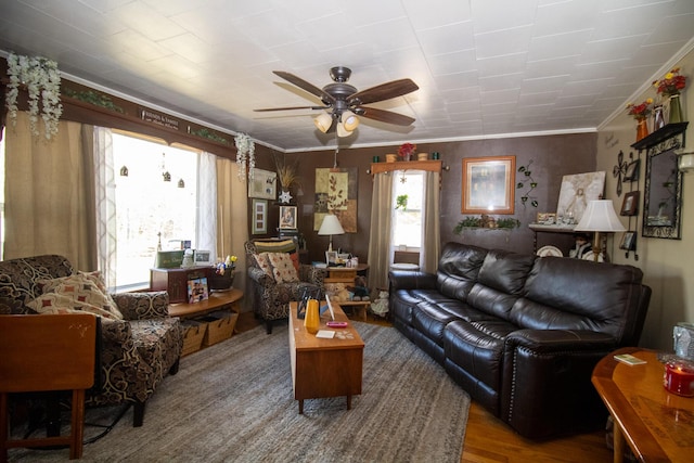 living room with plenty of natural light, a ceiling fan, ornamental molding, and wood finished floors