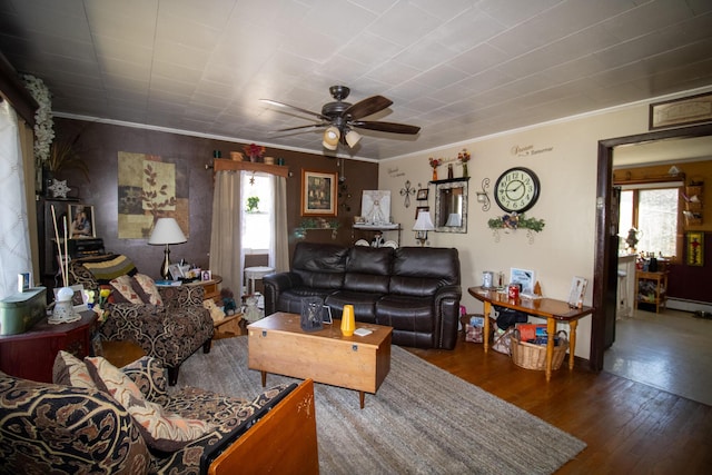 living area with healthy amount of natural light, crown molding, wood finished floors, ceiling fan, and baseboard heating