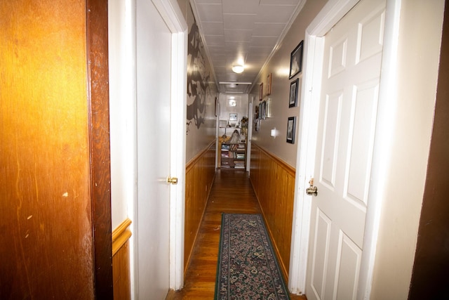 corridor with wainscoting, dark wood-type flooring, and wood walls