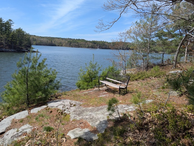 17 Westview Rd, Damariscotta, ME 04543 - water view with a forest