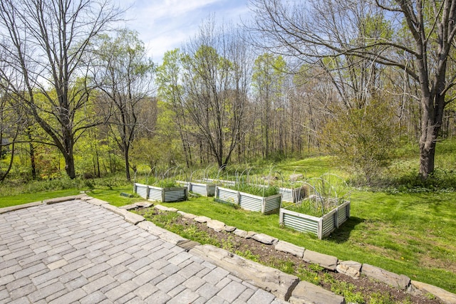 17 Westview Rd, Damariscotta, ME 04543 - wooden terrace with a vegetable garden, a yard, and a patio area