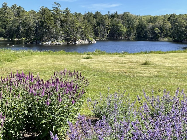 32 Murray Hill Rd, Boothbay, ME 04544 - water view featuring a forest