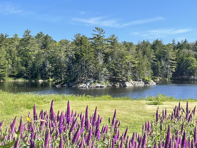 32 Murray Hill Rd, Boothbay, ME 04544 - water view featuring a forest