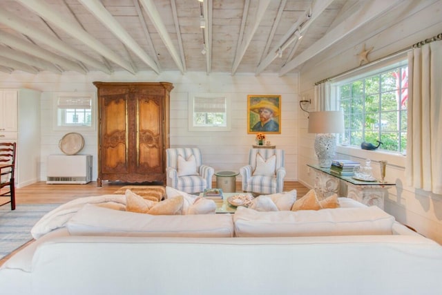32 Murray Hill Rd, Boothbay, ME 04544 - living room with track lighting, light wood-style flooring, and beamed ceiling