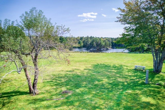 32 Murray Hill Rd, Boothbay, ME 04544 - view of green lawn with a water view and a forest view