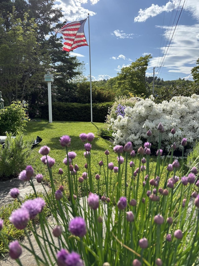 32 Murray Hill Rd, Boothbay, ME 04544 - view of grassy yard