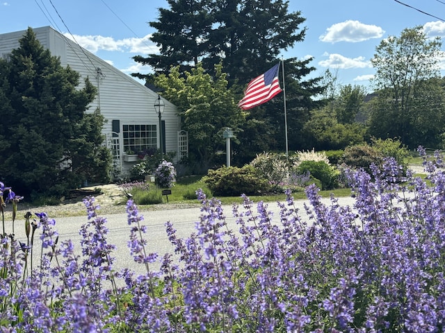 32 Murray Hill Rd, Boothbay, ME 04544 - view of yard