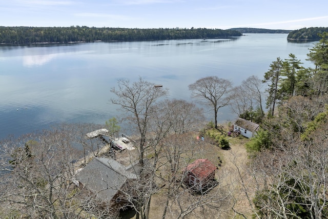 33 Bernier Ln, Harpswell, ME 04079 - water view featuring a forest