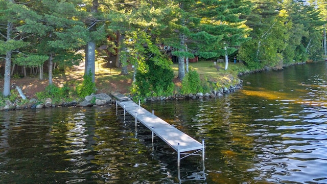 33 Loon Rd, Madison, ME 04950 - photo 68