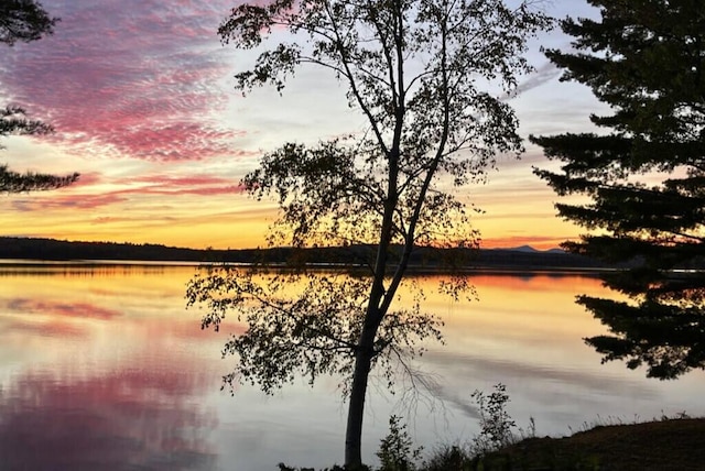 33 Loon Rd, Madison, ME 04950 - photo 88