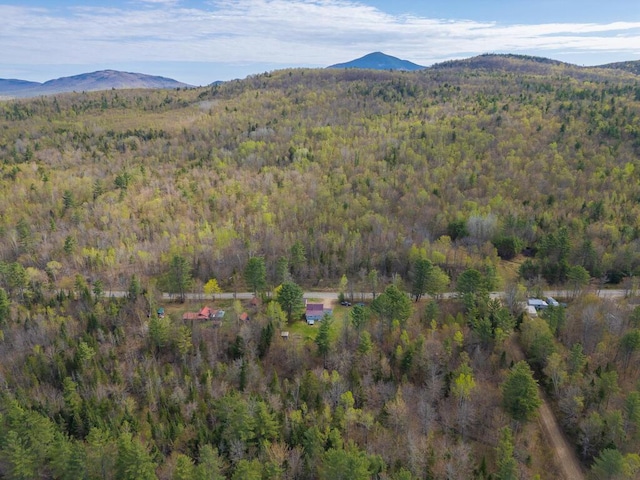 283 School St, Weld, ME 04285 - view of property location featuring a forest and mountains