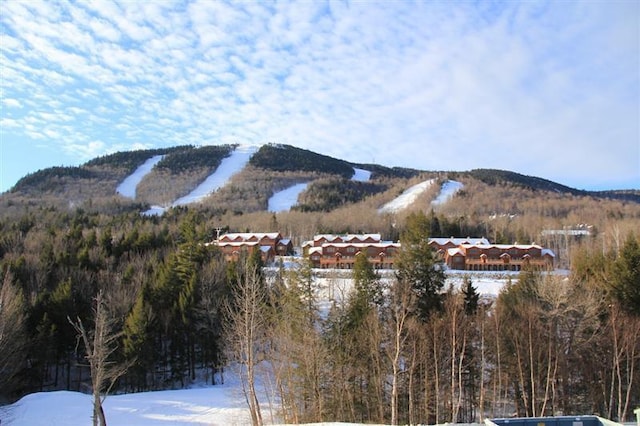 16 Roadrunner Dr Unit A308, Newry, ME 04261 - view of mountain background