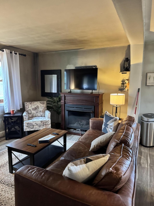 27 Trestle Rd, Medford, ME 04463 - living room with wood finished floors and a glass covered fireplace