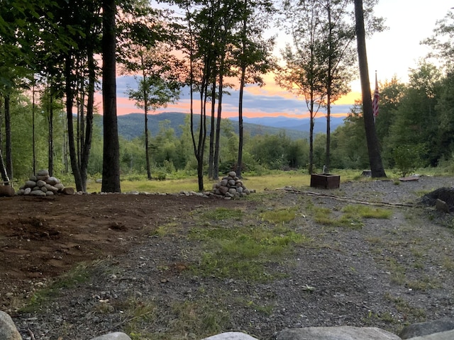 509 Blackberry Ln, Rumford, ME 04276 - view of undeveloped land