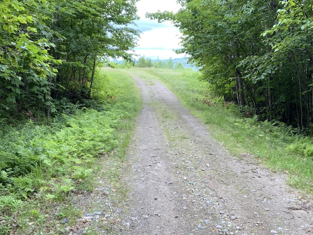 509 Blackberry Ln, Rumford, ME 04276 - view of road
