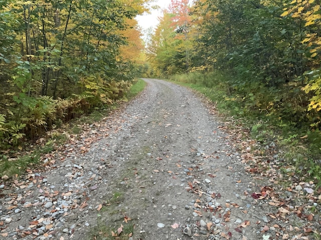 509 Blackberry Ln, Rumford, ME 04276 - view of dirt / gravel road featuring a view of trees