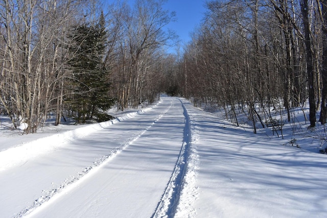 509 Blackberry Ln, Rumford, ME 04276 - view of road