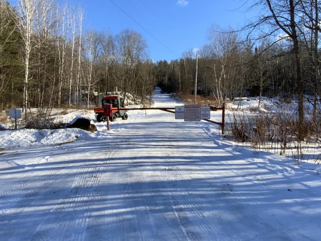 509 Blackberry Ln, Rumford, ME 04276 - view of street with a forest view
