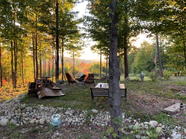 509 Blackberry Ln, Rumford, ME 04276 - view of yard