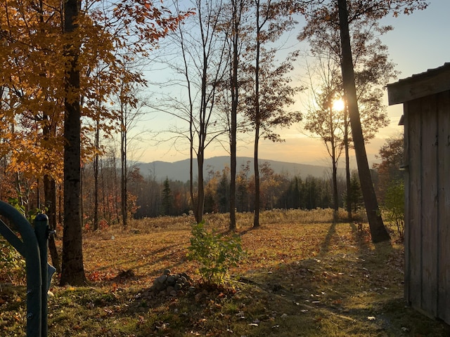 509 Blackberry Ln, Rumford, ME 04276 - view of undeveloped land
