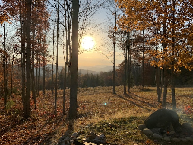 509 Blackberry Ln, Rumford, ME 04276 - view of yard at dusk