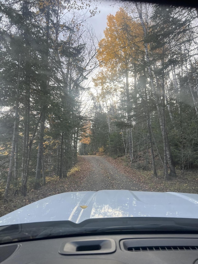 509 Blackberry Ln, Rumford, ME 04276 - view of dirt / gravel road