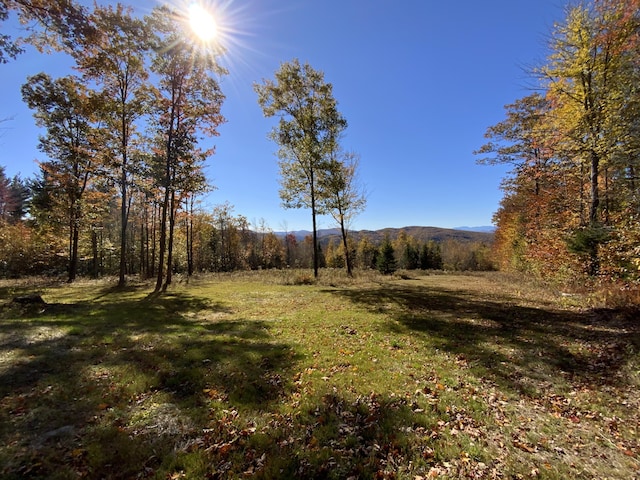 509 Blackberry Ln, Rumford, ME 04276 - view of grassy yard