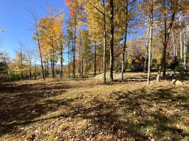 509 Blackberry Ln, Rumford, ME 04276 - view of nature