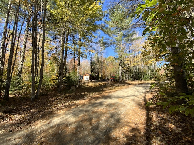 509 Blackberry Ln, Rumford, ME 04276 - view of dirt / gravel driveway with a forest view