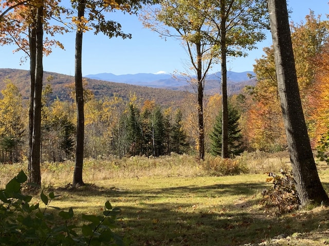 509 Blackberry Ln, Rumford, ME 04276 - mountain view featuring a heavily wooded area