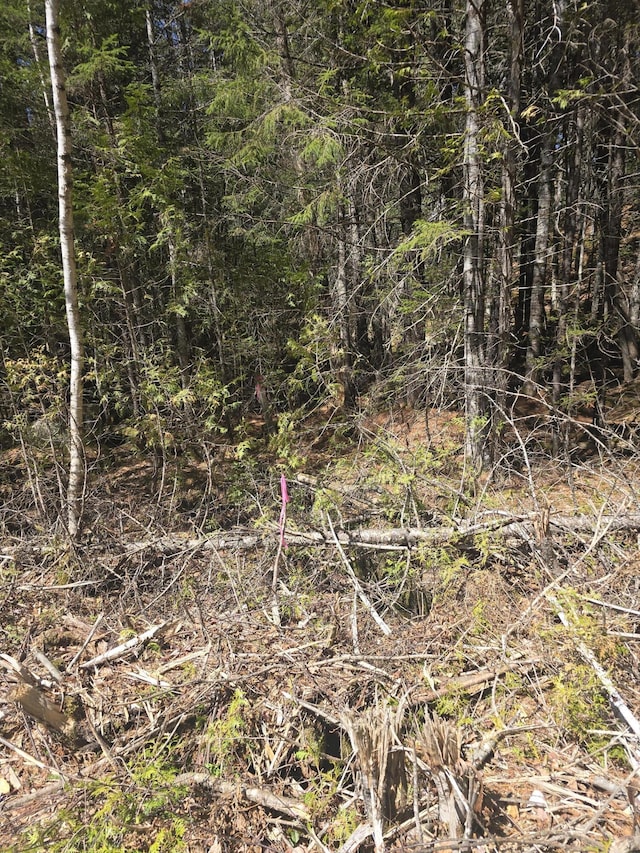 LOT5 Spruce Mountain Lake Rd, Beddington, ME 04622