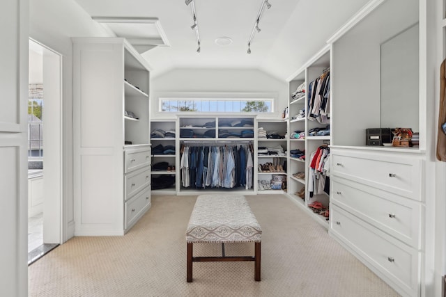 10 Jameson Dr, Falmouth, ME 04105 - walk in closet with vaulted ceiling and light carpet