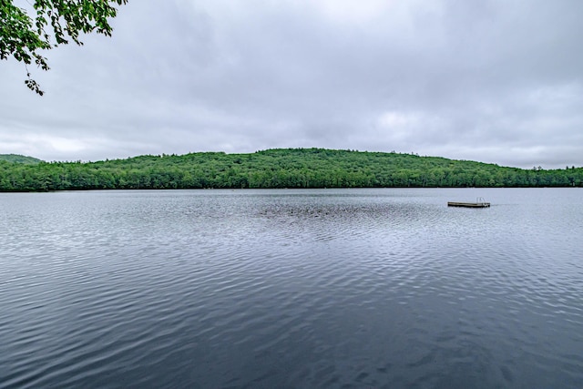 134 Valhalla Ln, Norway, ME 04268 - water view featuring a forest