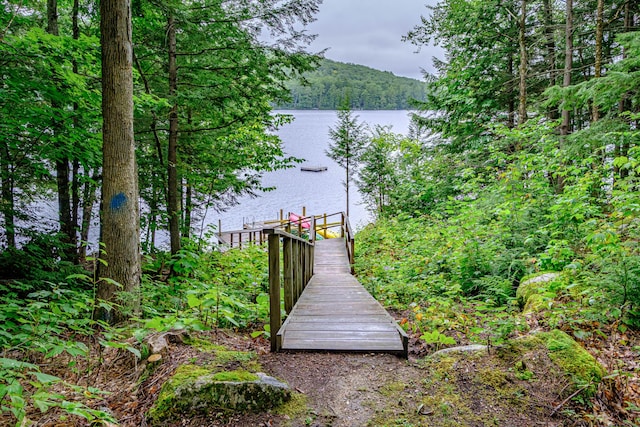 134 Valhalla Ln, Norway, ME 04268 - dock with a water view and a wooded view