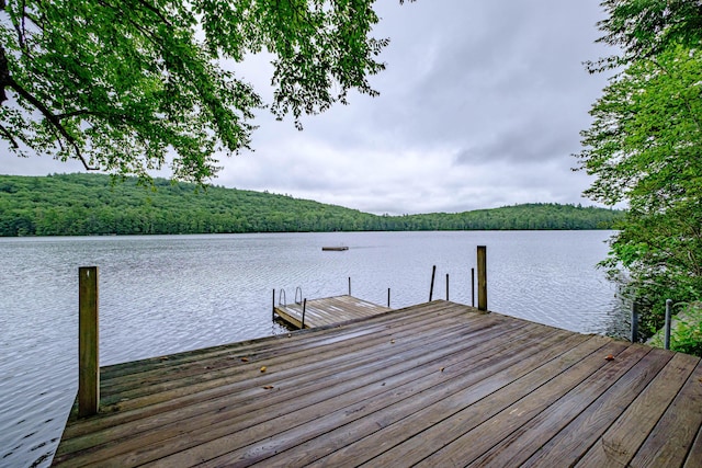 134 Valhalla Ln, Norway, ME 04268 - dock featuring a water view and a view of trees