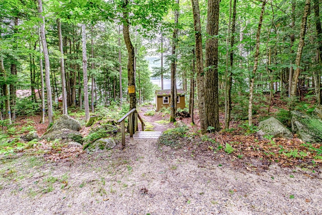 134 Valhalla Ln, Norway, ME 04268 - view of yard featuring a view of trees