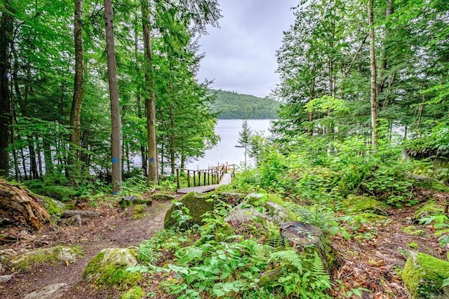 134 Valhalla Ln, Norway, ME 04268 - water view with a heavily wooded area