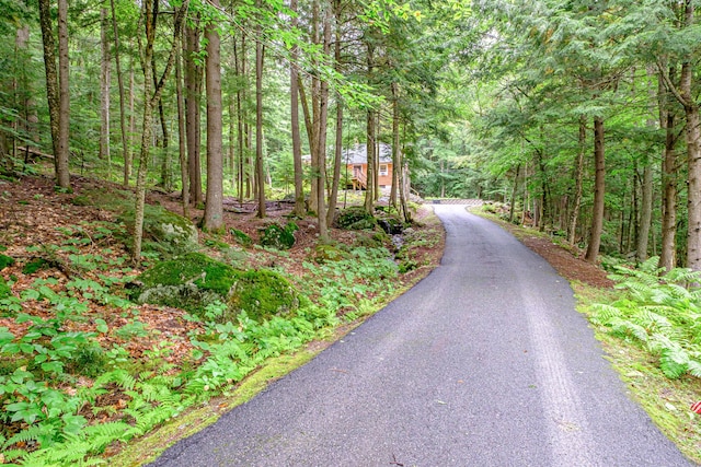 134 Valhalla Ln, Norway, ME 04268 - view of asphalt driveway featuring a forest view